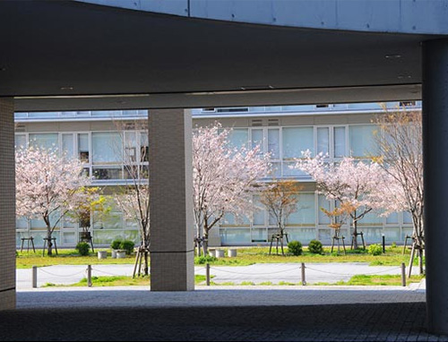 2columnデザイン画像