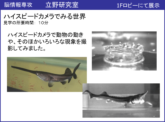 立野研究室