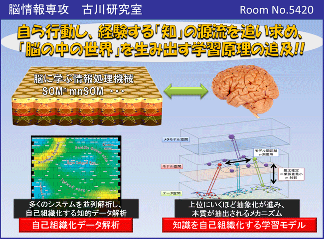 古川研究室