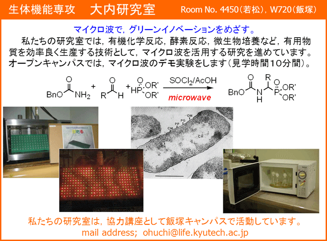 大内研究室