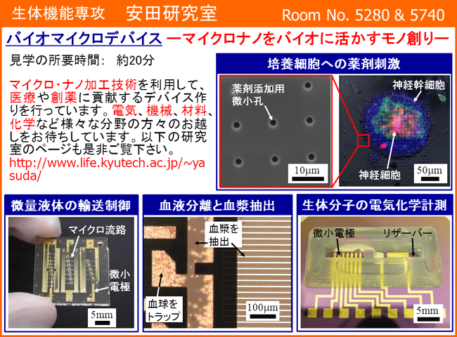 安田研究室