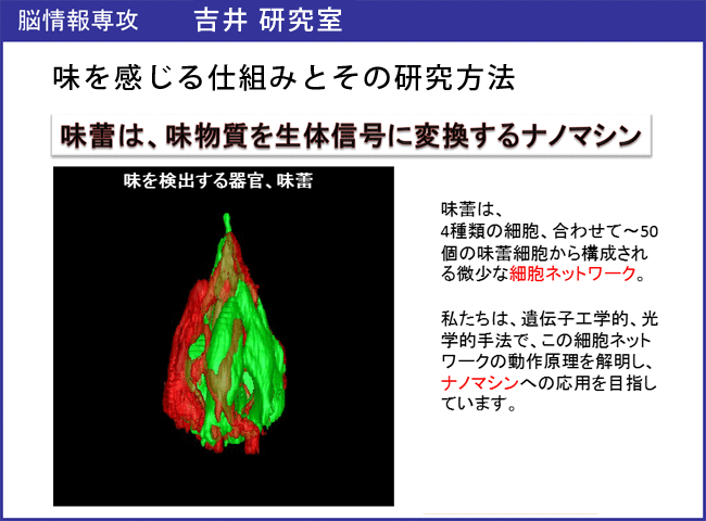 吉井研究室