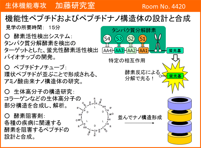 加藤研究室