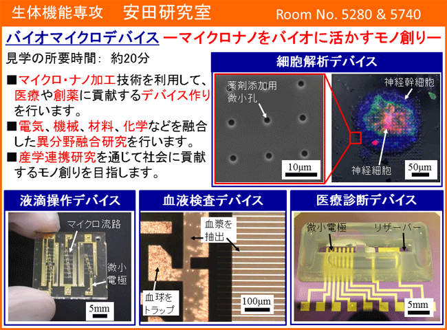 安田研究室