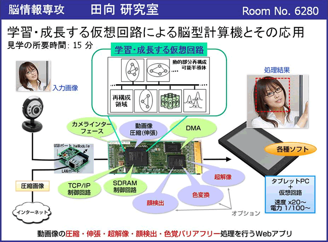 田向研究室