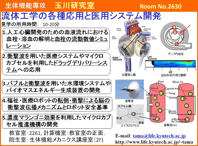 玉川研究室