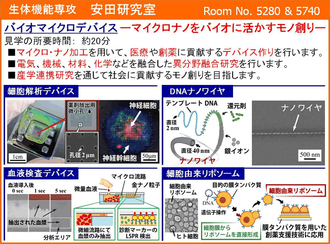 安田研究室